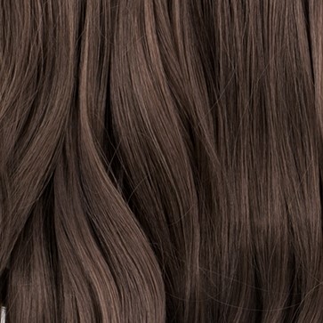 Chestnut 8